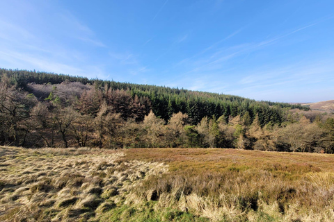 Manchester: Peak District 3-Walk 1 Day Tour