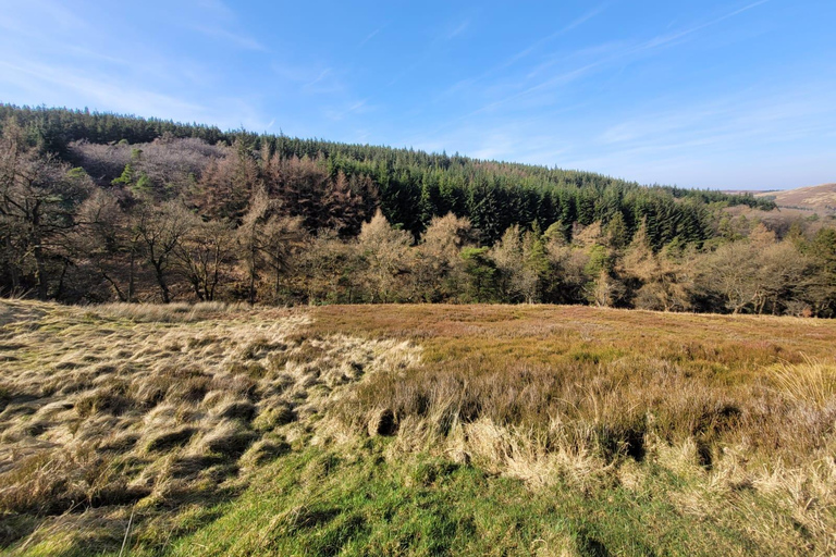Manchester: Peak District 3-Walk 1 Day Tour