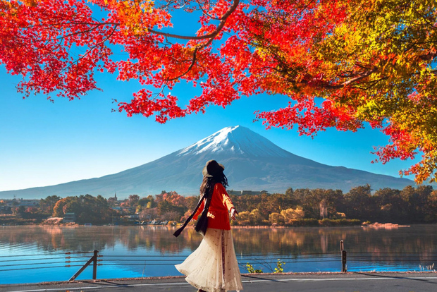 东京：富士山六景：河口湖、莺宿八海