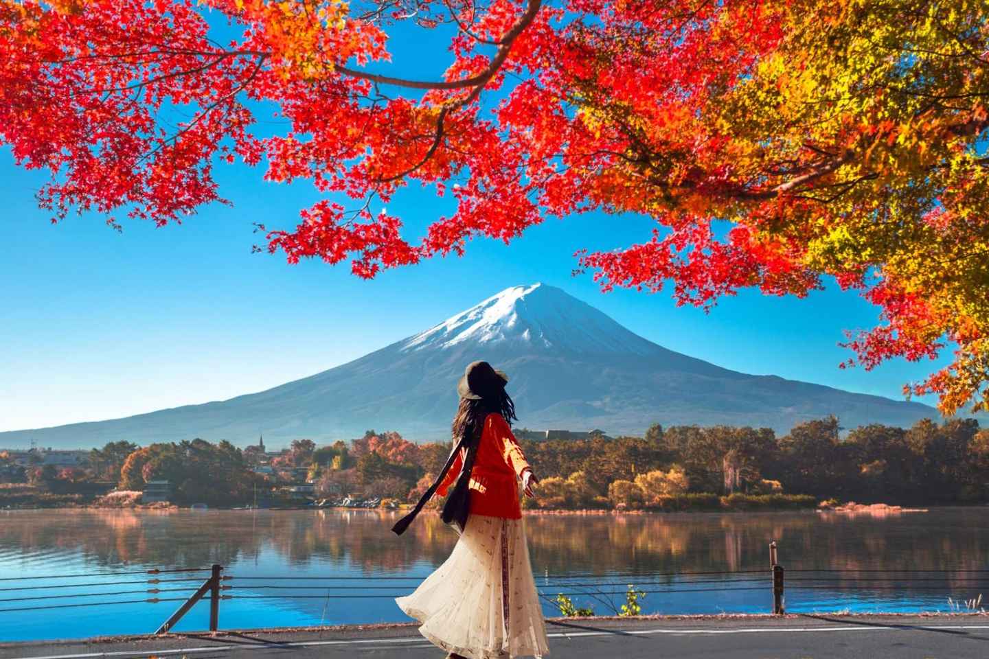 Tokyo: Mt Fuji & Oishi Park & Lake Kawaguchi & Oshino Hakkai