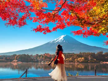Mt Fuji, Oishi Park, Lake Kawaguchi and Oshino Hakkai