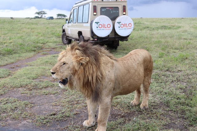 2 – Days Group Camping Tour Tarangire and Ngorongoro Crater