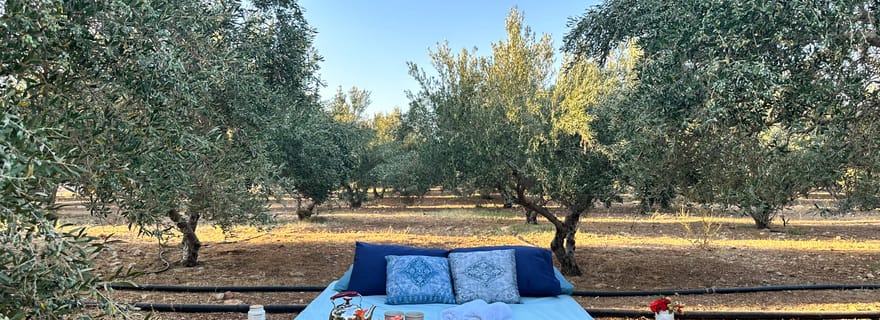 Mires : cours de cuisine et observation des étoiles avec nuitée en plein air de luxe