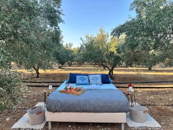 Mires Olive Farm, Kreta: Sova under stjärnorna