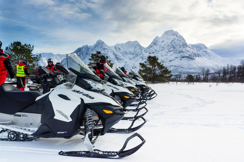 Från Tromsö: Snöskotersafari i LyngenalpernaFrån Tromsø: Snöskotersafari i Lyngenalperna