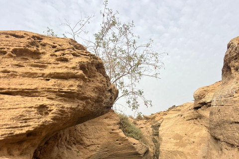 Agadir/Taghazout : Aventure en Sandboard et Dîner au Coucher du SoleilAgadir/Taghazout : aventure en sandboard et dîner au coucher du soleil