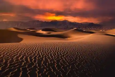 Doha: Safari notturno nel deserto con corsa sulle dune in 4x4 e giro in cammello