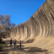 Perth: Wave Rock, Mulka's Cave, and Hippo's Yawn (Day Tour)