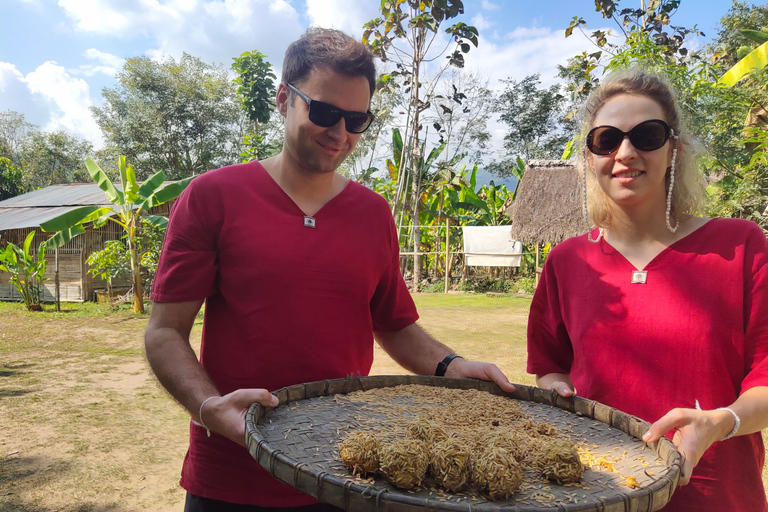 4 Experiences: Elephants, Sticky waterfalls, Market &amp; templeElephants: Sticky waterfalls: Local Market: Wat Banden