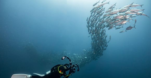 Similan 2Day-1Night Onboard MV Koon Scuba Dive or Non-Dive