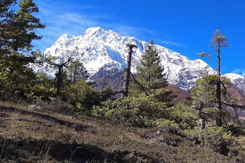 Annapurna II Expedition