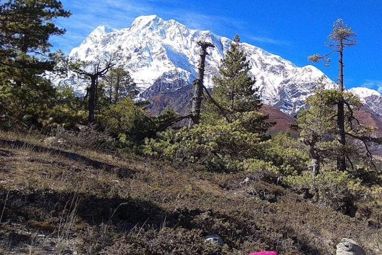 Annapurna II Expedition