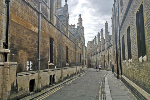 Best of Cambridge: Private Walking Tour with a LocalPrivate City Walking Tour - 2Hr