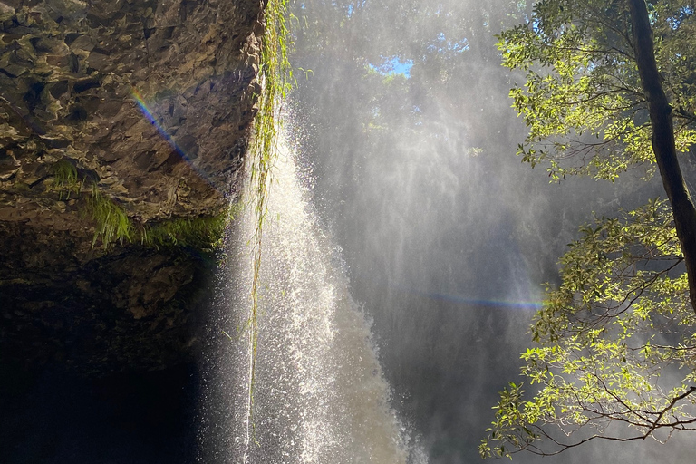 Byron Bay: Behind The Bay Waterfalls & Hidden Gems Day Tour