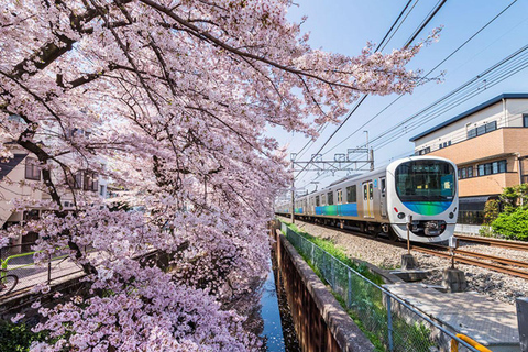 Tokio: Skytree, Asakusa und Meiji-Schrein, Shibuya-Kreuzung,