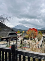 Tour privato a Monte Fuji con autista di lingua inglese - Hizvo