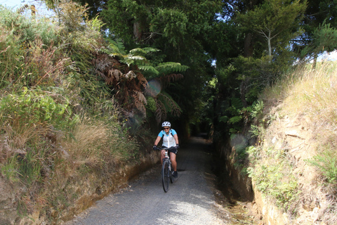 Całodniowa wycieczka rowerowa - Karangahake Gorge NZ