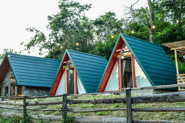 Bucharest: Transylvania Castles Tour with Dinner