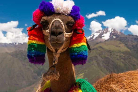 Cusco: Alcapa-Therapie + handwerkliche Kreativität - Privat