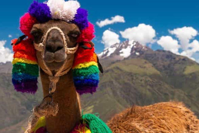 Cusco: Alcapa-Therapie + handwerkliche Kreativität - Privat