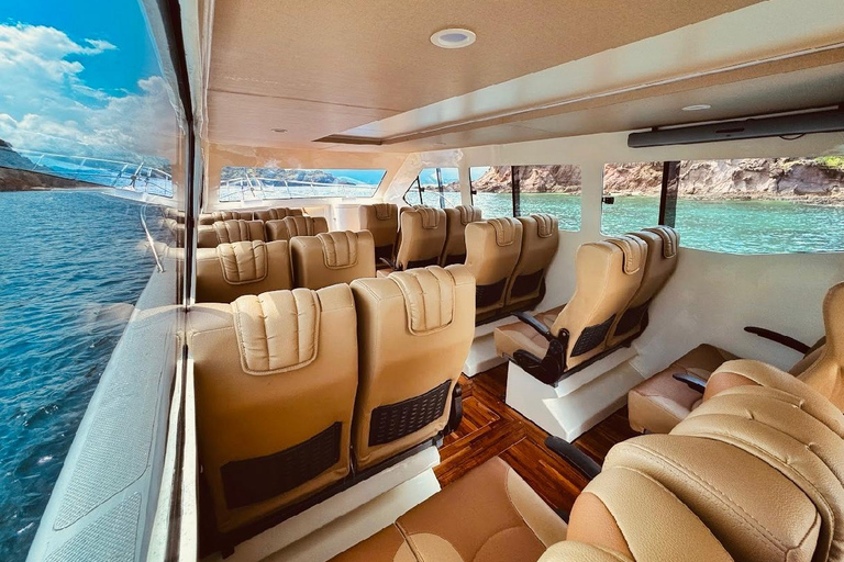 From Labuan Bajo: Komodo National Park Speedboat Day Trip