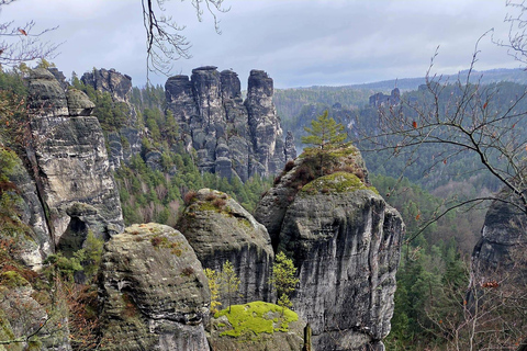 From Dresden: Table mountains Lilienstein & Königstein tour