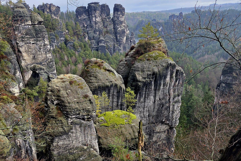 From Dresden: Table mountains Lilienstein & Königstein tour