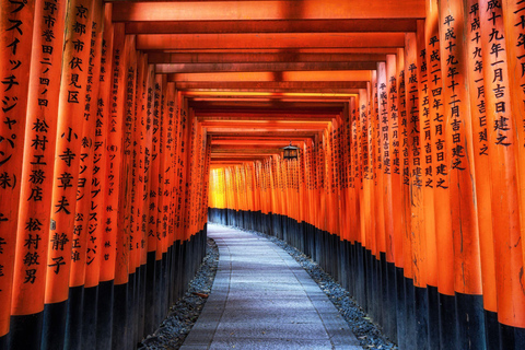 Day tour of Kyoto+Nara, Fushimi Inari Taisha+Arashiyama
