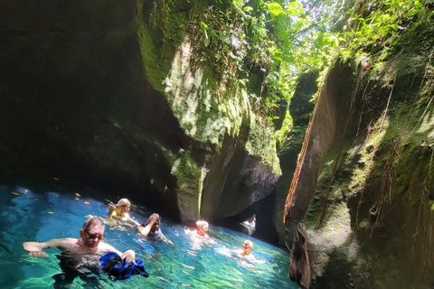 Roseau: Rainforest tour of Trafalgar Waterfalls & Geysers.