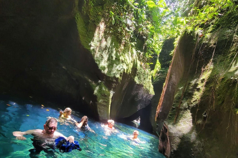 Roseau: Rainforest tour of Trafalgar Waterfalls & Geysers.