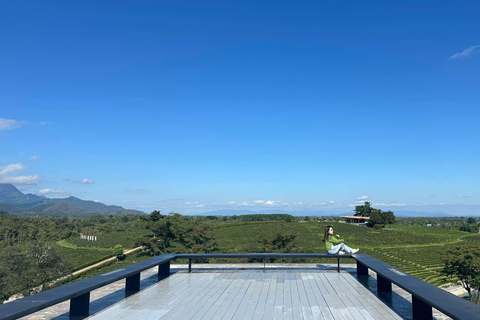 JOIN TOUR 1 day trip around Chiang Rai included lunch buffet