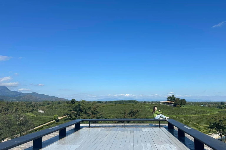 JOIN TOUR 1 day trip around Chiang Rai included lunch buffet