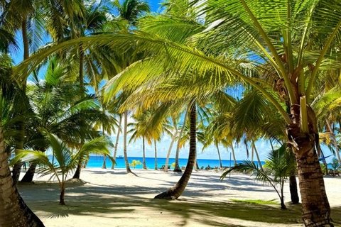 Punta Cana: Saona Island Paradise Catamaran Sightseeing Tour with Lunch and Drinks Punta Cana: Macao Beach and Local Dominican Experience