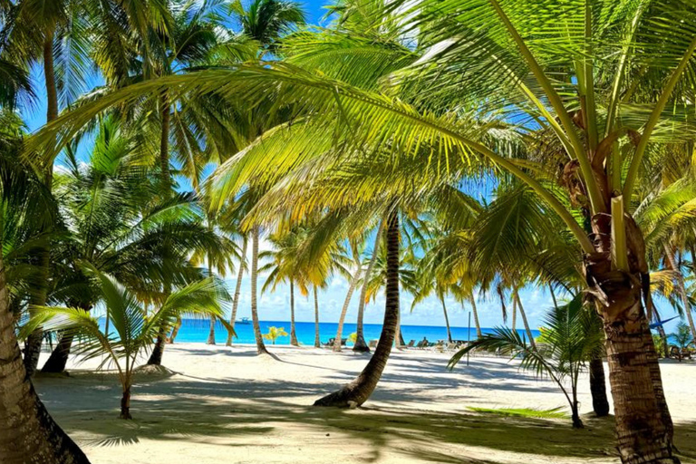 Punta Cana: Saona Island Paradise Catamaran Sightseeing Tour with Lunch and Drinks Punta Cana: Macao Beach and Local Dominican Experience
