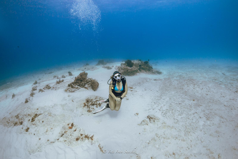 Cancún: Buceo certificado con 2 tanques: Explora Arrecifes Poco Profundos