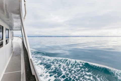 Reykjavík: Whale Watching an Bord einer LuxusyachtWhale Watching an Bord einer Yacht mit Treffpunkt