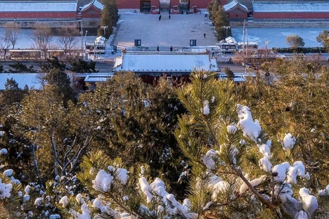 Beijing Jingshan Park Ticket: Full Forbidden City View Beijing: Panda Pavilion Admission Ticket