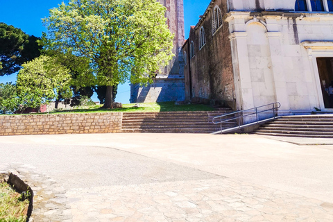 From Zagreb: Ancient Roman Arena & Rovinj Private Day Trip