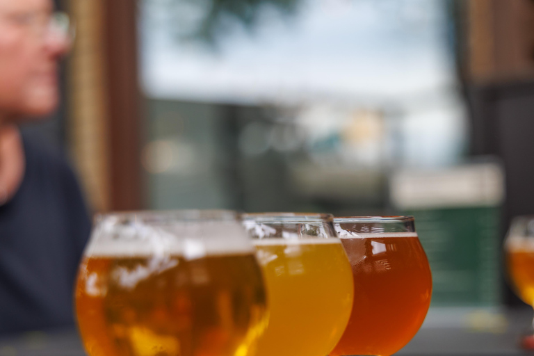 QuebecCity:ebike tours ,parks,public market and microbrewry