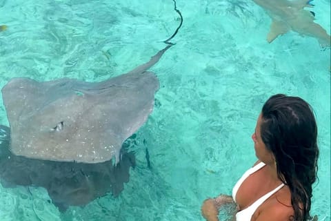 Bora-Bora : lagon privé, snorkeling et déjeuner sur un motu