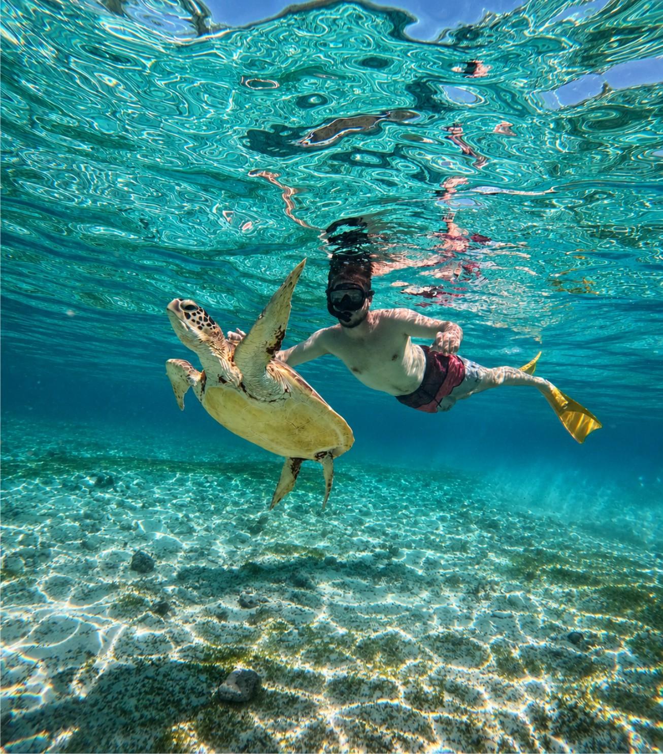 Gili Air: Private Schnorcheltour mit Meeresschildkröten & GoPro