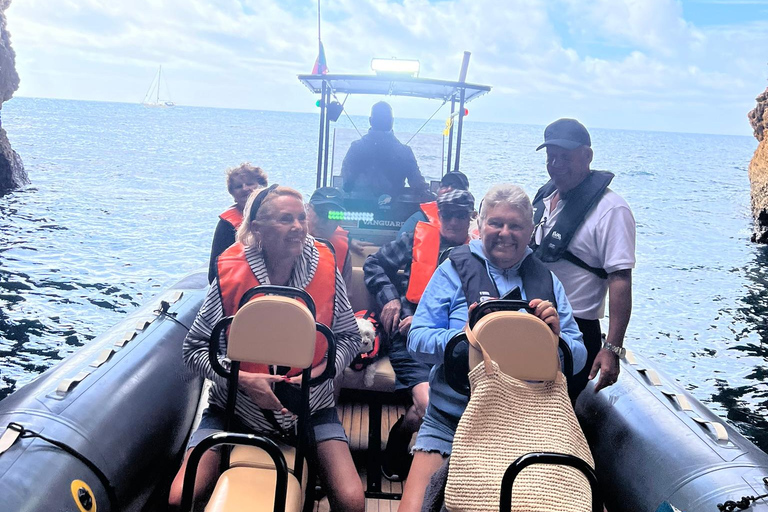 De Portimão : Observation des dauphins et du littoral de Lagos avec un biologiste