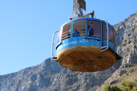 Cape Town: Table Mountain, Bo-Kaap, & Boulders Beach Tour