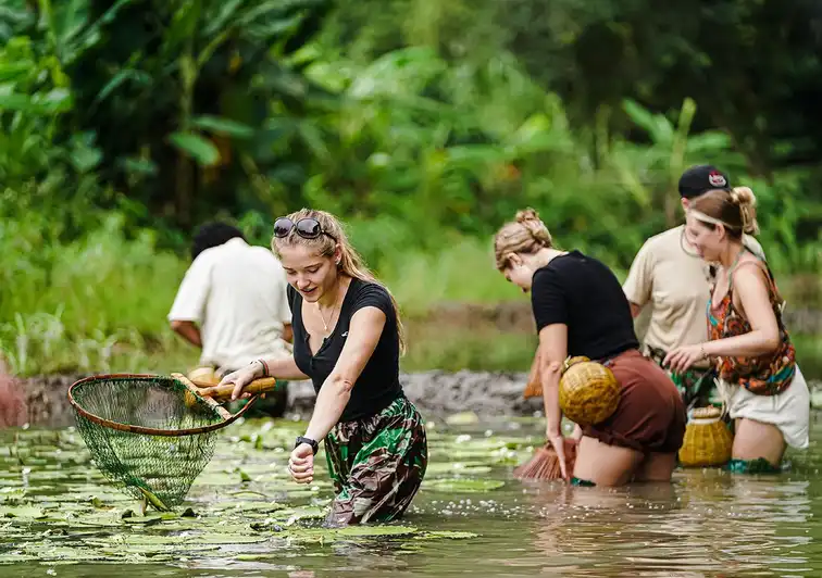 Ninh Binh: Rice planting and fishing by basket tour