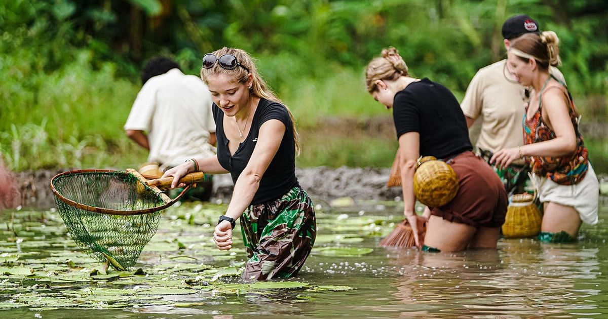 Best Family & Friend Day Trips and Activities in Vietnam 70 Ninh Binh: Rice planting and fishing by basket tour