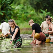 Ninh Binh: Rice Planting and Basket Fishing Tour