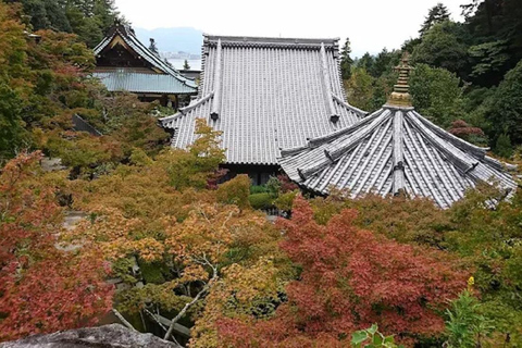 Hiroshima: Miyajima Island Spiritual & Scenic Walking Tour A Lovers : Romantic Walk Through Miyajima’s Sacred Beauty