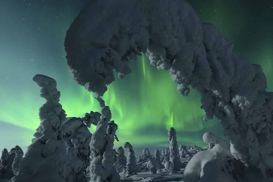 Rovaniemi: Nordlichter-Lagerfeuer-Trip – eine neue Budget-Tour. Foto: GetYourGuide