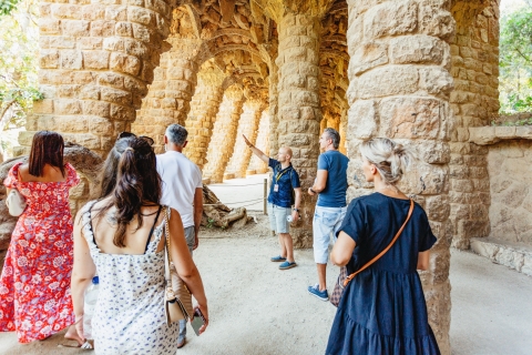 Barcelona: visita guiada y entrada sin colas al Parque GüellTour Guiado Park Güell - Francés