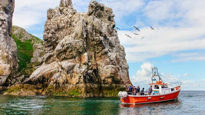 Dublin: Howth Coastal Boat Tour